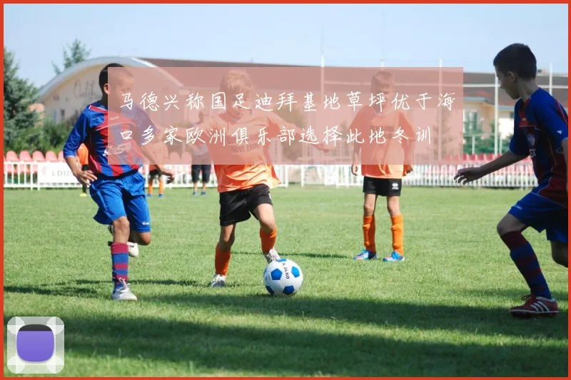 马德兴称国足迪拜基地草坪优于海口多家欧洲俱乐部选择此地冬训